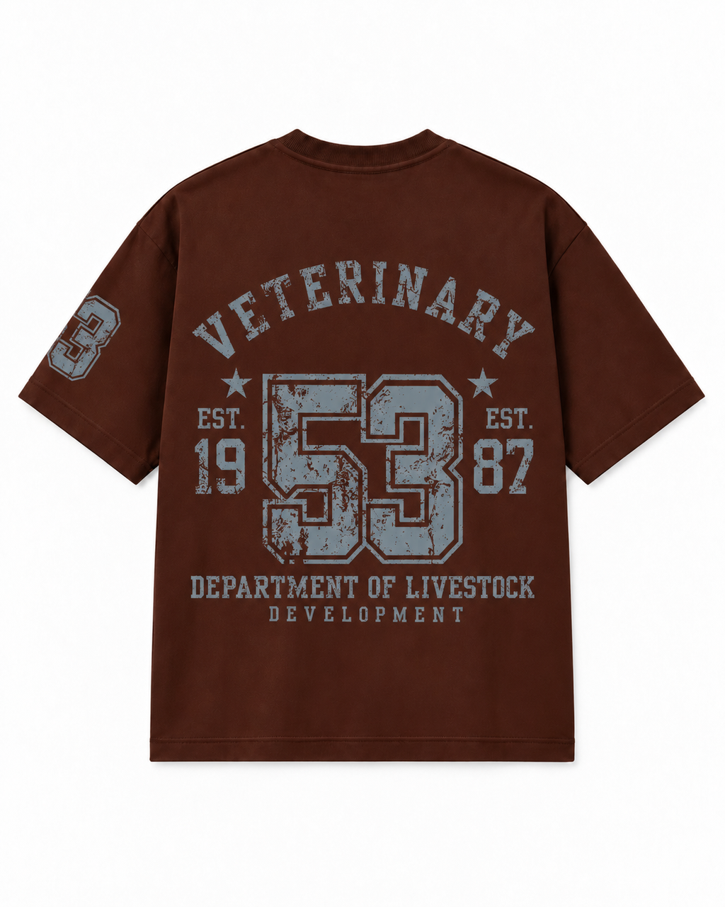 Vintage Veterinary 53 Oversized Tee