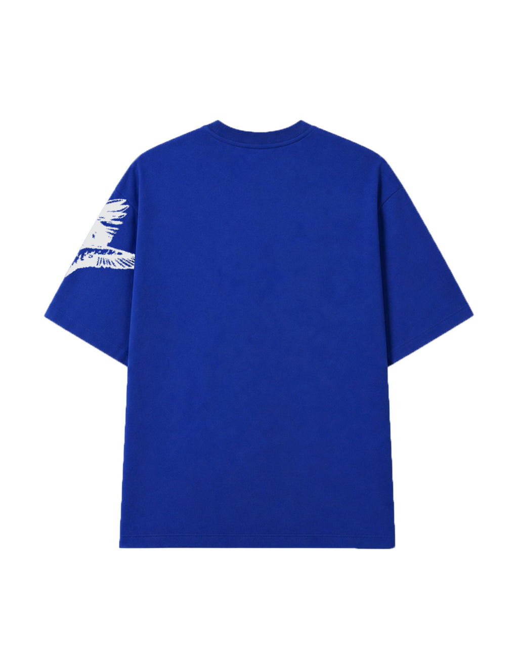 Feather Freedom Oversized T-Shirt